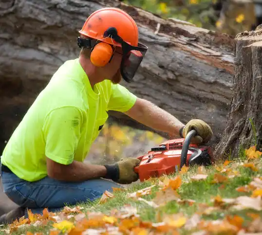 tree services Steubenville